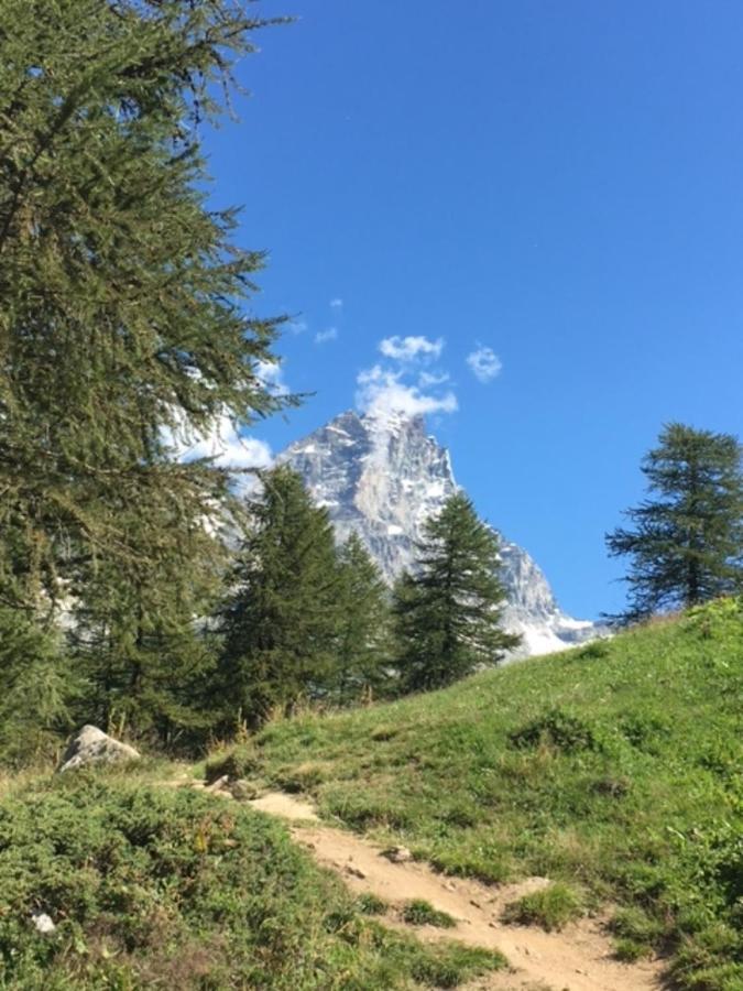 شقة Casa Cervinia Circus بيريوِل تْشيرفينيا المظهر الخارجي الصورة